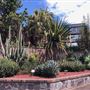 Royal Botanic Garden Sydney