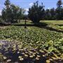 Royal Botanic Garden Sydney