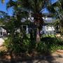 Avalon Beach