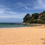 Palm Beach
