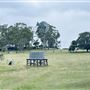 Tobruk Sheep Station - Shearing Shed & Event Venue