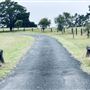 Tobruk Sheep Station - Shearing Shed & Event Venue