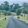 Tobruk Sheep Station - Shearing Shed & Event Venue