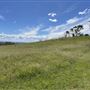 The Australian Botanic Garden Mount Annan