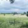 PITT TOWN