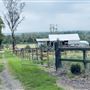 PITT TOWN