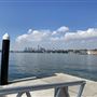 Clarkes Point Reserve