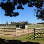 Darkes Forest Ranch