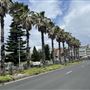 Bondi Beach - Campbell Parade