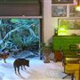The Rainforest Shed