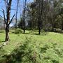 Green Valley House
