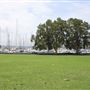 Rushcutters Bay Park