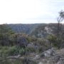 Bungonia National Park