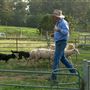 Belgenny Farm