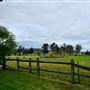 Belgenny Farm