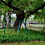 Belgenny Farm