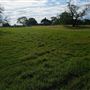 Belgenny Farm