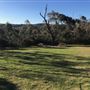 Cahills Lookout & Boars Head Lookout