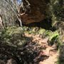 Centennial Glen Walking Track