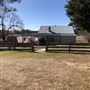 Clearview Cattle Property