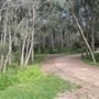 Bilarong Reserve