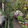 Leura Village