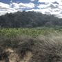 Nambucca Heads