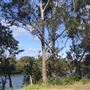 Nambucca Heads