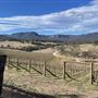 Dryridge Estate