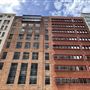 Sydney CBD - Elizabeth Street