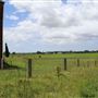 Phoenix Park