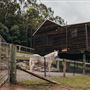 Hunter River Retreat
