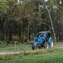 Tocal Farm