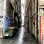 Kimber Lane