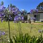 Winbourne Estate Country Bed and Breakfast