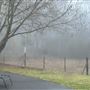 Winbourne Estate Country Bed and Breakfast