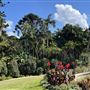 Vaucluse House