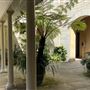 Vaucluse House