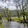 Glenworth Valley Wilderness Adventures
