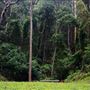 Glenworth Valley Wilderness Adventures