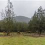 Glenworth Valley Wilderness Adventures