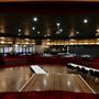 Greyhound Social Club