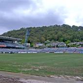 Blue Tongue Central Coast Stadium