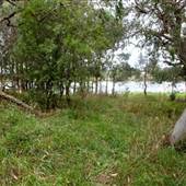 Cecil Hoskins Nature Reserve Moss Vale