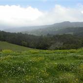 Jamberoo Farm