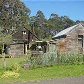 Davidson Whaling Station