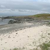 Bass Point Reserve to Maloneys Bay