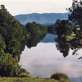 Bellinger River