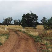 Bourke & Environs