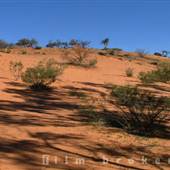 Broken Hill Sand Dunes